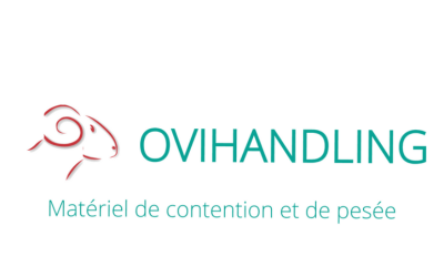 Ovihandling.png