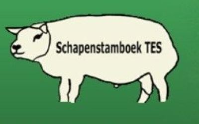 TES